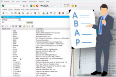 ABAP for SAP Users