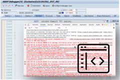 A Beginners Guide to Debugging in SAP