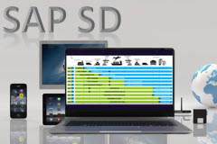 Sales & Distribution-Scenario by Scenario for  SAP S/4